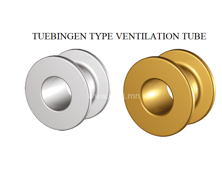 emjj/product/2024/01/12/btigg5jy1ptqp48m/vt-tuebingen-titanium-Gold-alloy-without-wire-0808